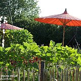 au jardin de 5 sens 2